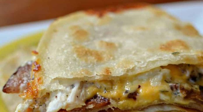 CHICKEN QUESADILLA