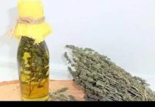 Thyme Oil: A Potential Breakthrough in Lung Cancer Treatment