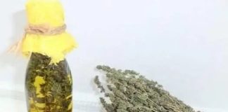 Thyme Oil: A Potential Breakthrough in Lung Cancer Treatment