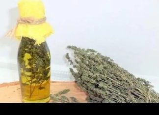 Thyme Oil: A Potential Breakthrough in Lung Cancer Treatment