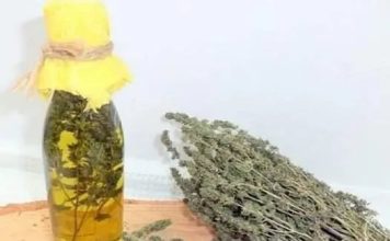 Thyme Oil: A Potential Breakthrough in Lung Cancer Treatment