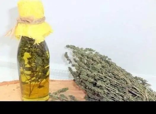 Thyme Oil: A Potential Breakthrough in Lung Cancer Treatment