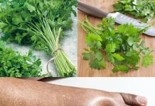 A Natural Way to Lessen Water Retention with Parsley