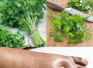 A Natural Way to Lessen Water Retention with Parsley