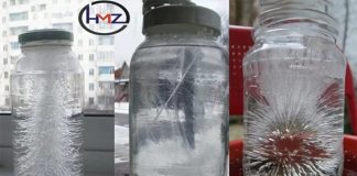 Eliminating Harmful Energy: Using Salt and Water to Purify Your Home