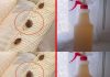 Steps to clean a mattress of bed bugs