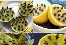 The All-Natural Expectorant with Lemon and Cloves: A Cough Remedies