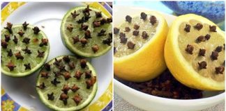 The All-Natural Expectorant with Lemon and Cloves: A Cough Remedies