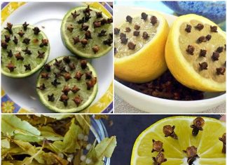 The All-Natural Expectorant with Lemon and Cloves: A Cough Remedies
