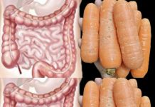 This Rejuvenating Carrot Recipe Will Rejuvenate Your Body!