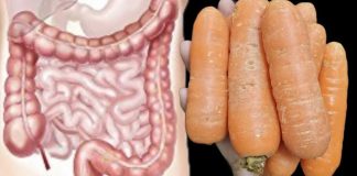 This Rejuvenating Carrot Recipe Will Rejuvenate Your Body!