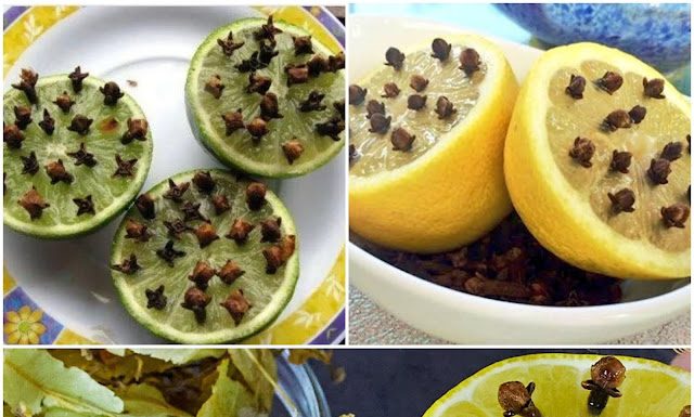 The All-Natural Expectorant with Lemon and Cloves: A Cough Remedies