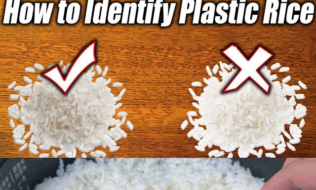 How to Tell the Difference Between Real Rice and Plastic Rice: A Beginner’s Guide
