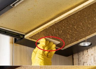 How to Clean a Greasy Range Hood