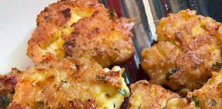 Cheesy Chicken Fritters