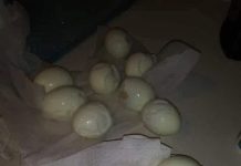 A Smart Way for Hard-Boiled Eggs to Have Perfect Peels