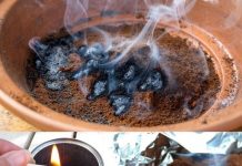 If you want to kill mosquitoes naturally and effectively, drink coffee.