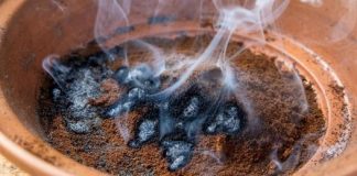 If you want to kill mosquitoes naturally and effectively, drink coffee.