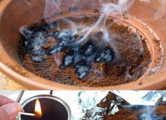 If you want to kill mosquitoes naturally and effectively, drink coffee.