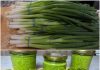 The Revolutionary New Way to Store Winter Onions