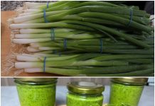 The Revolutionary New Way to Store Winter Onions