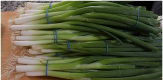 The Revolutionary New Way to Store Winter Onions