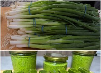 The Revolutionary New Way to Store Winter Onions