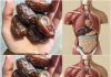 The Delightful Perks: Improve Your Health by Eating Two Dates Daily