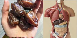 The Delightful Perks: Improve Your Health by Eating Two Dates Daily