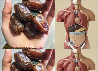 The Delightful Perks: Improve Your Health by Eating Two Dates Daily