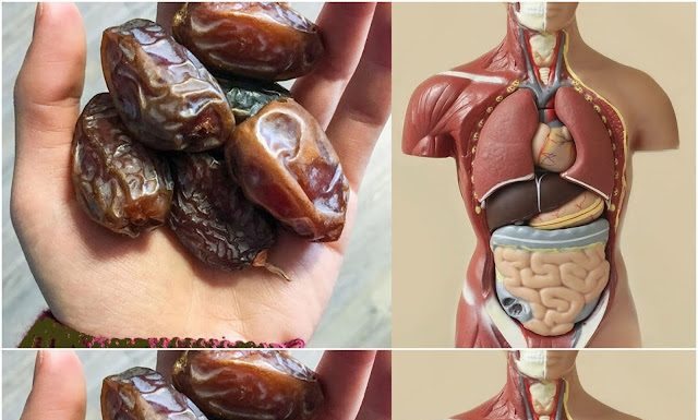 The Delightful Perks: Improve Your Health by Eating Two Dates Daily