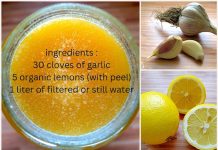 A Natural Cure for Clogged Arteries and Poor Circulation: The Heart’s Elixir