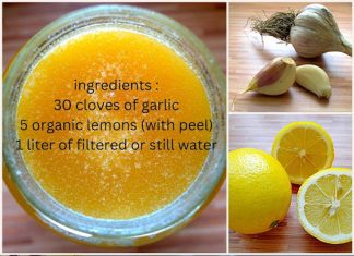 A Natural Cure for Clogged Arteries and Poor Circulation: The Heart’s Elixir