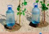 Methods for Free Plant Watering for a Month