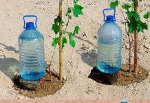 Methods for Free Plant Watering for a Month