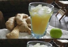 Recipe for the Healthiest Ginger Juice Ever: A Sugar-Free Remedy
