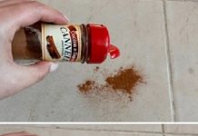 An old tip that still works: sprinkle a bit of cinnamon on the floor.