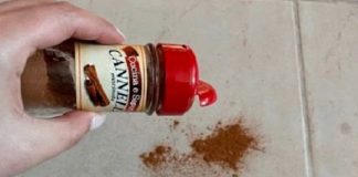 An old tip that still works: sprinkle a bit of cinnamon on the floor.