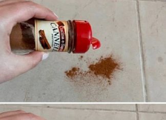 An old tip that still works: sprinkle a bit of cinnamon on the floor.