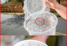 A Homemade Pest Repellent Made of Rice Vinegar