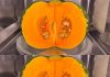 Pumpkin Rescue: A Mouthwatering Recipe for Managing Blood Sugar