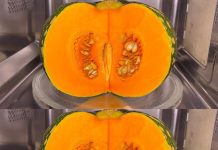 Pumpkin Rescue: A Mouthwatering Recipe for Managing Blood Sugar