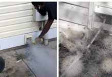 Professional Cleaner Urges People to Clear Out Those Dryer Vents With Eye-Opening Video