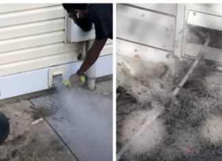 Professional Cleaner Urges People to Clear Out Those Dryer Vents With Eye-Opening Video