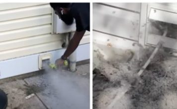 Professional Cleaner Urges People to Clear Out Those Dryer Vents With Eye-Opening Video