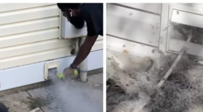Professional Cleaner Urges People to Clear Out Those Dryer Vents With Eye-Opening Video