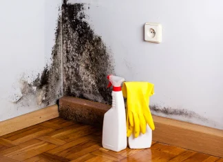 Solved! What Kills Mold?