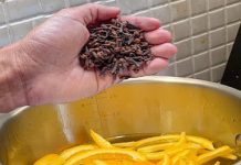 Revitalizing Time-Held Knowledge: An Elixir of Orange Peel and Clove