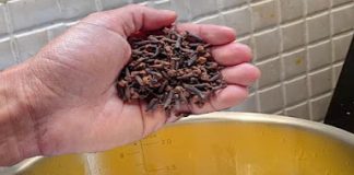 Revitalizing Time-Held Knowledge: An Elixir of Orange Peel and Clove