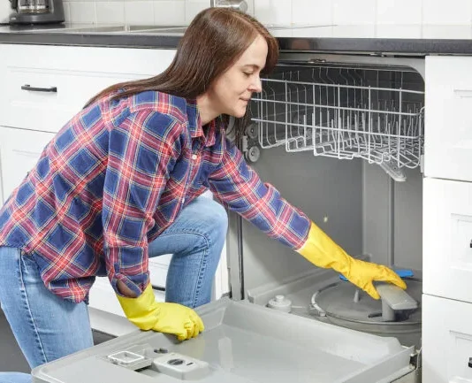 How to Clean a Dishwasher Filter